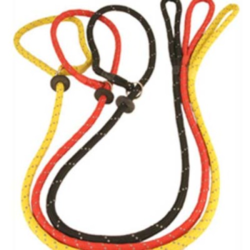 Dog Leads